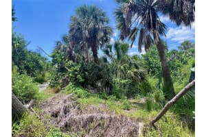 8132 LITTLE GASPARILLA ISLAND, PLACIDA, FL 33946 - MLS#MFRD6143500