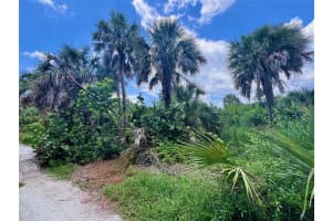8132 LITTLE GASPARILLA ISLAND, PLACIDA, FL 33946 - MLS#MFRD6143500
