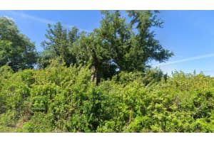 7105 MANNIZ ROAD, PORT CHARLOTTE, FL 33981 - MLS#MFRD6143653