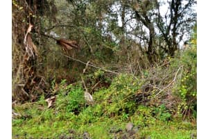 PADGETTE ST, NORTH PORT, FL 34291 Sold 01/09/26