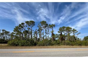 14767 SAN DOMINGO BOULEVARD, PORT CHARLOTTE, FL 33981 - MLS#MFRD6143985