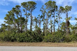 14767 SAN DOMINGO BOULEVARD, PORT CHARLOTTE, FL 33981 - MLS#MFRD6143985