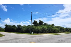 10044 CALUMET BOULEVARD, PORT CHARLOTTE, FL 33981 - MLS#MFRD6144060