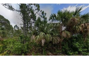 2504 LYRIC STREET, PORT CHARLOTTE, FL 33953 - MLS#MFRD6144170