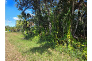 414 LIDDY STREET, PORT CHARLOTTE, FL 33954 - MLS#MFRD6144329