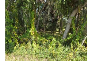 414 LIDDY STREET, PORT CHARLOTTE, FL 33954 - MLS#MFRD6144329