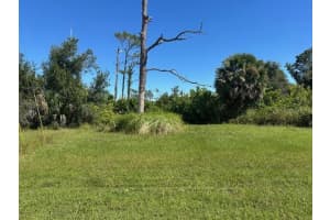113 CREVALLE ROAD, ROTONDA WEST, FL 33947 - MLS#MFRD6144356