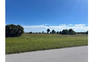 28 BLUE HEN DRIVE, PLACIDA, FL 33946 - MLS#MFRD6144601