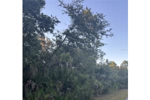 23391 BUCKNER AVENUE, PORT CHARLOTTE, FL 33980 - MLS#MFRD6144638