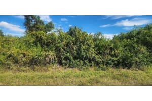 6138 CARLSON STREET, PORT CHARLOTTE, FL 33981 - MLS#MFRD6144665