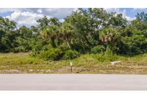 19172 RIDGE AVENUE, PORT CHARLOTTE, FL 33954 - MLS#MFRD6144809
