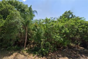 2027 & 2035 & 2043 BROAD RANCH DRIVE, PORT CHARLOTTE, FL 33948 Sold 03/06/26