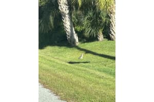 23 MOORING PLACE, PLACIDA, FL 33946 - MLS#MFRD6145016