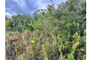 15769 HENNIPEN CIRCLE, PORT CHARLOTTE, FL 33981 - MLS#MFRD6145253