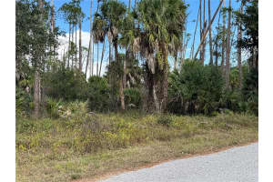 17344 ORION AVENUE, PORT CHARLOTTE, FL 33954 - MLS#MFRD6145268