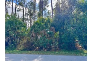 TISHMAN AVE, NORTH PORT, FL 34286 - MLS#MFRD6145270