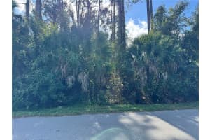 TISHMAN AVE, NORTH PORT, FL 34286 - MLS#MFRD6145270
