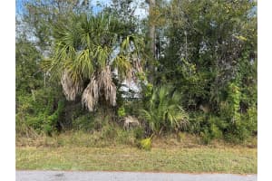 ZUBER LN, NORTH PORT, FL 34286 - MLS#MFRD6145271