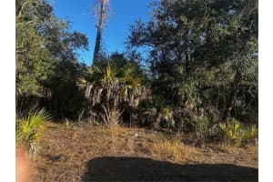 LANAI AVE, NORTH PORT, FL 34288 - MLS#MFRD6145367