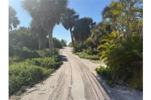 8092 LITTLE GASPARILLA ISLAND, PLACIDA, FL 33946 - MLS#MFRD6145485