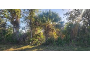 14025 PARIS LANE, PORT CHARLOTTE, FL 33981 - MLS#MFRD6145495