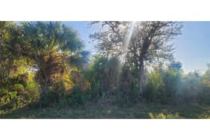 14025 PARIS LANE, PORT CHARLOTTE, FL 33981 - MLS#MFRD6145495