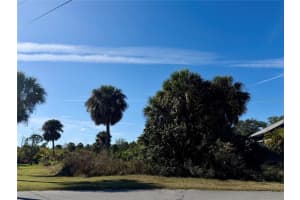 13349 TOLMAN AVENUE, PORT CHARLOTTE, FL 33953 - MLS#MFRD6145522