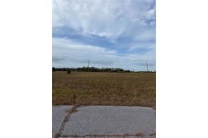 14495 MARLIN COURT, PLACIDA, FL 33946 - MLS#MFRD6145648