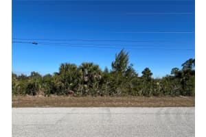 10064 SUNDAY DRIVE, PORT CHARLOTTE, FL 33981 - MLS#MFRD6145718