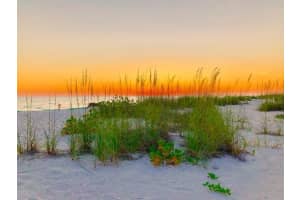 9334 LITTLE GASPARILLA ISLAND, PLACIDA, FL 33946 - MLS#MFRD6145756