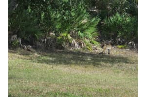 2212 WAKEFIELD STREET, PORT CHARLOTTE, FL 33948 - MLS#MFRD6145872