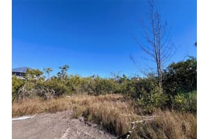 9574 BUCCANEER TRAIL, PLACIDA, FL 33946 - MLS#MFRD6145986