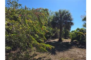 698 LOMOND DRIVE, PORT CHARLOTTE, FL 33953 - MLS#MFRD6146035