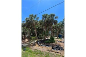 141 HOFFER STREET, PORT CHARLOTTE, FL 33953 - MLS#MFRD6146228