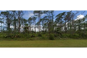 2521 & 2529 JACOBS STREET, PORT CHARLOTTE, FL 33953 - MLS#MFRD6146435
