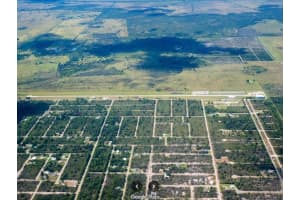 1176 APACHE ST NW, LAKE PLACID, FL 33852 - MLS#MFRD6146500