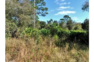 LONGFELLOW LN, NORTH PORT, FL 34288 - MLS#MFRD6146513