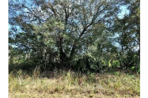 LONGFELLOW LN, NORTH PORT, FL 34288 - MLS#MFRD6146513