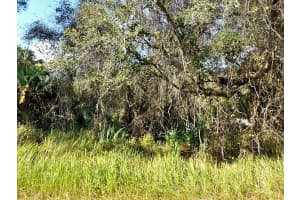 KACHER RD, NORTH PORT, FL 34288 - MLS#MFRD6146601