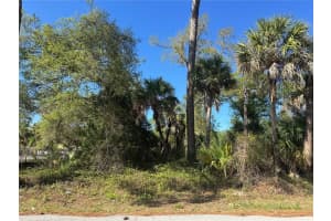 17418 BRIGHTON AVENUE, PORT CHARLOTTE, FL 33954 - MLS#MFRD6146610