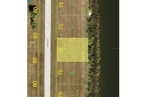 41 THRUSH DRIVE, PLACIDA, FL 33946 - MLS#MFRD6146629