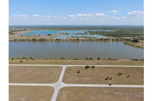 41 THRUSH DRIVE, PLACIDA, FL 33946 - MLS#MFRD6146629