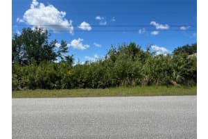 14550 LILLIAN CIRCLE, PORT CHARLOTTE, FL 33981 - MLS#MFRD6146852