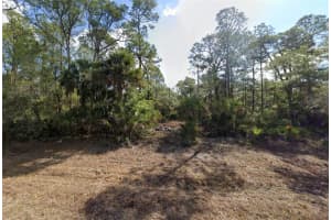 1170 MALLET LANE, PORT CHARLOTTE, FL 33953 - MLS#MFRD6146933