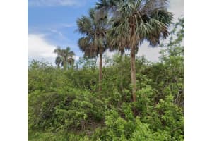 14529 MCMILLIN AVENUE, PORT CHARLOTTE, FL 33953 - MLS#MFRD6146950