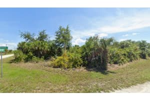 10005 LONG BEACH STREET, PORT CHARLOTTE, FL 33981 - MLS#MFRD6146994