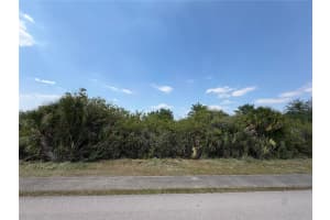 12244 ACCESS ROAD, PORT CHARLOTTE, FL 33981 - MLS#MFRD6147028
