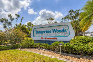 803 TANGERINE WOODS BOULEVARD, ENGLEWOOD, FL 34223 - MLS#MFRD6147341
