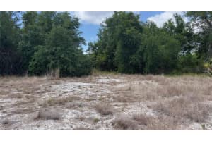 2523 SULSTONE DRIVE, PUNTA GORDA, FL 33983 - MLS#MFRD6147393