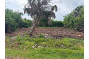 861 BURLAND STREET, PUNTA GORDA, FL 33950 - MLS#MFRD6147474